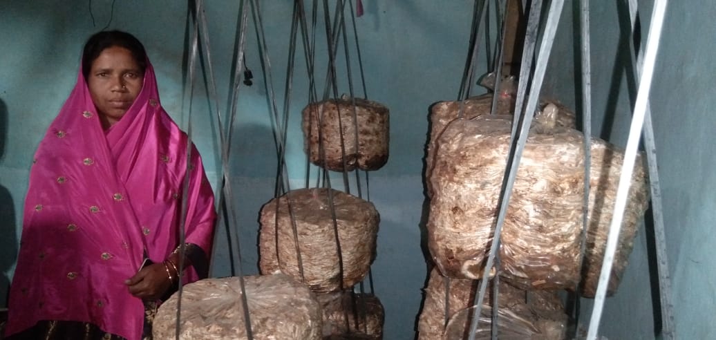Handicrafts & Vocational Skill Development