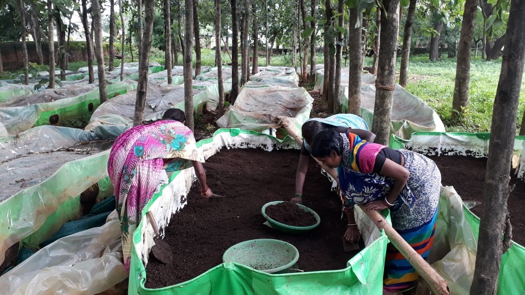 Organic Agribusiness With Deepsikha